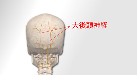 頭痛の原因について。首や肩のこり、姿勢の負担が関わる頭痛があ