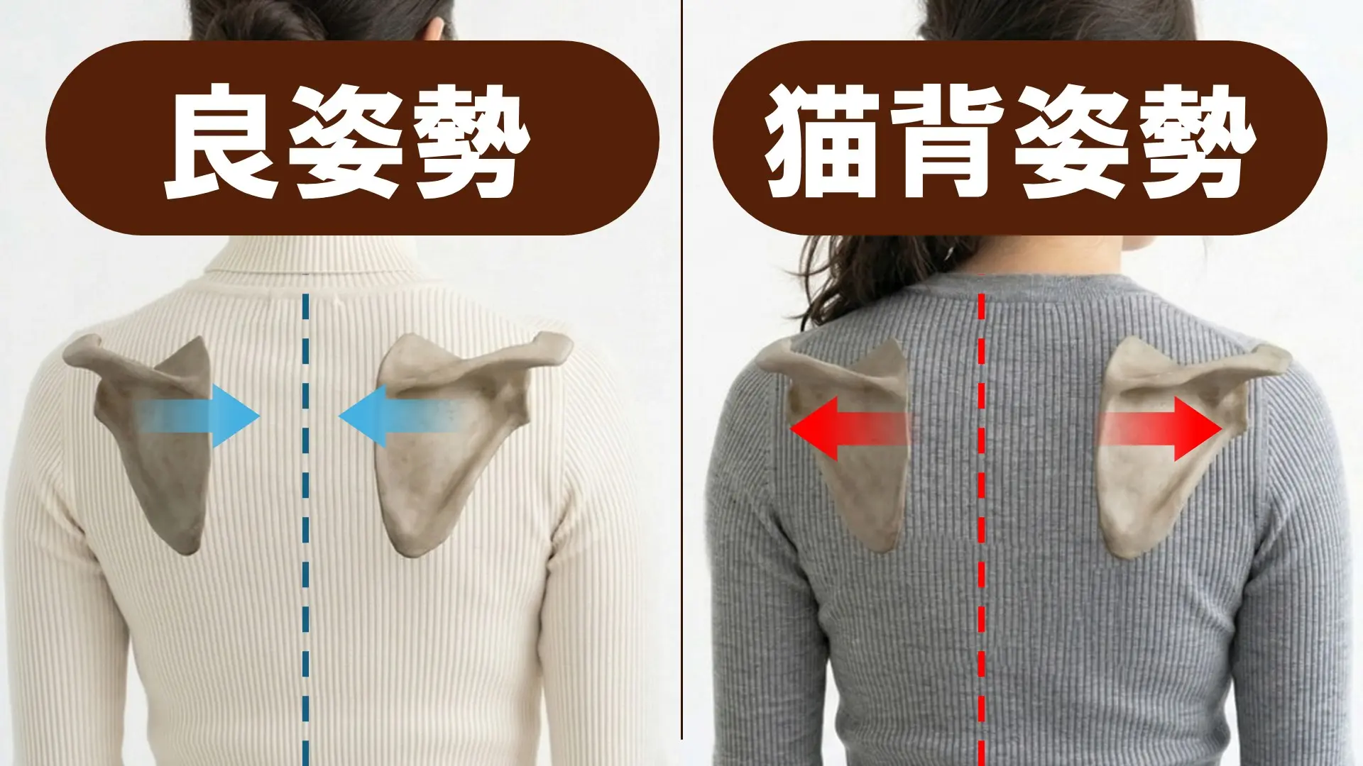 良い姿勢と猫背の比較。ただ姿勢は「形」だけでなく「動き」で見