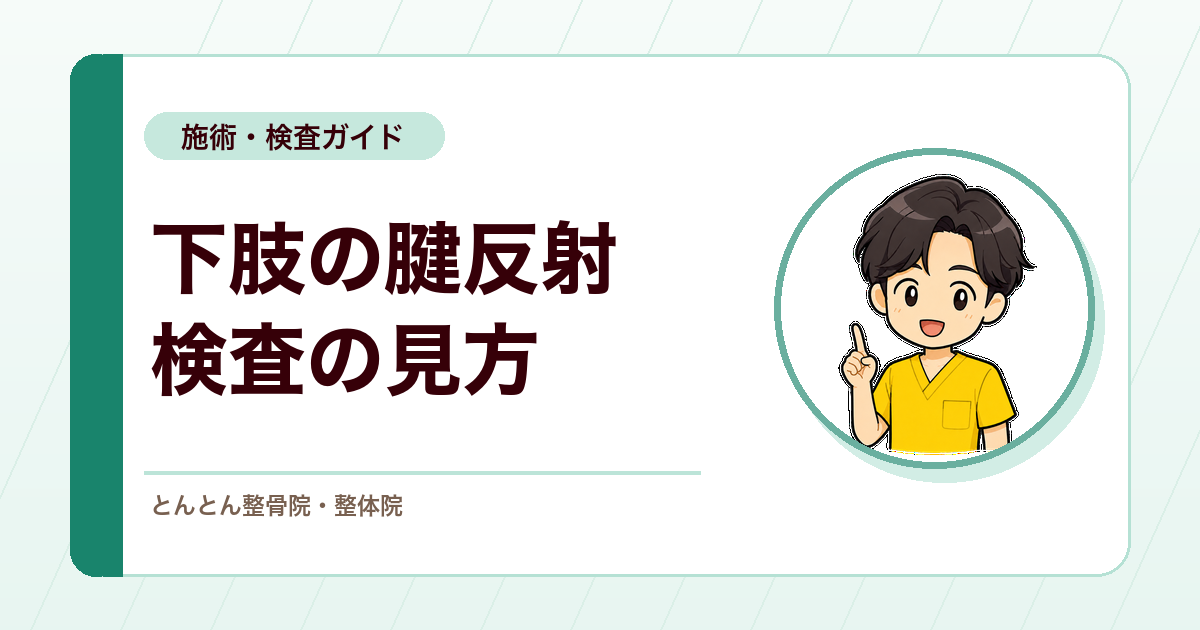 膝蓋腱反射・アキレス腱反射のやり方とは？下肢の腱反射検査の見方