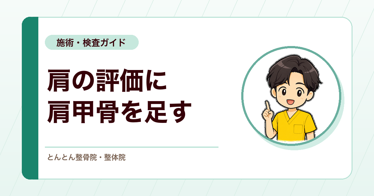 肩の痛みの評価では、肩甲骨の動きも外せない