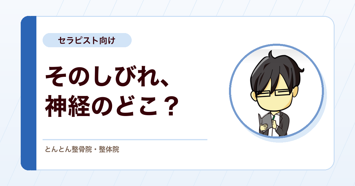 しびれや筋力低下をどう見るか？脊髄神経の分布図を臨床で使うために
