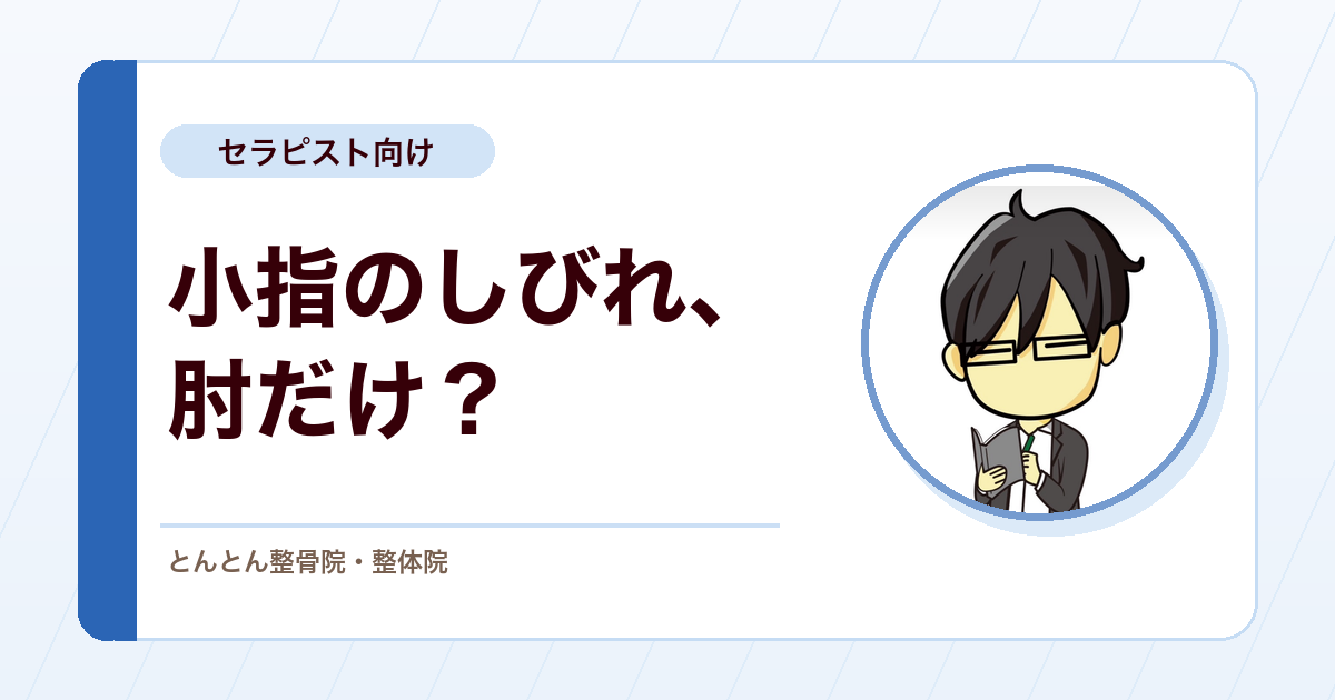 小指側のしびれは肘の外も確かめる。肘部管症候群の評価で見るべきこと