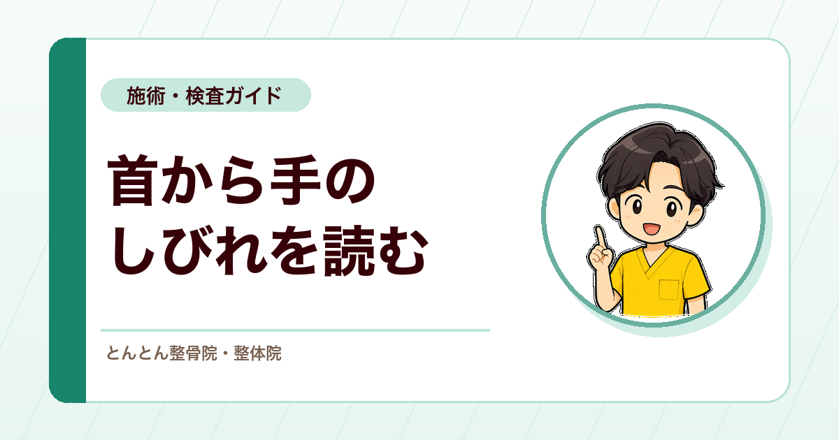 首から腕・手に広がるしびれ。頚椎神経根症と危険サインの見方