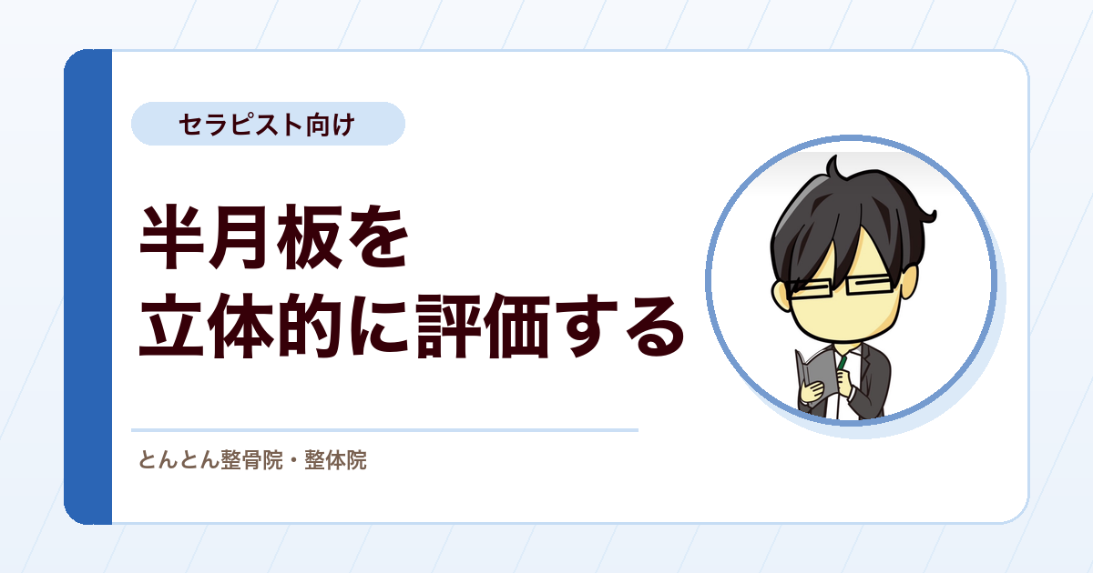 半月板を評価する。神経分布・損傷形態・円板状半月と、アンハッピートライアドの実際