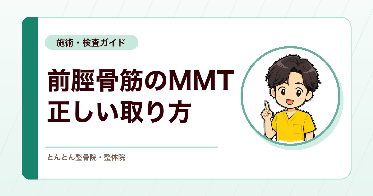 前脛骨筋のMMTを正しく取る。母趾側の圧と足趾グーで長趾伸筋を切り分ける