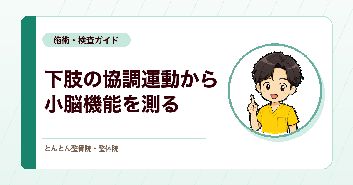踵膝試験とは？下肢の小脳性運動失調を確認する検査の見方