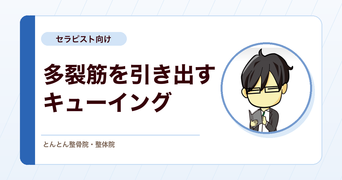 多裂筋の収縮を引き出す伝え方。言葉を減らして、触って確かめる