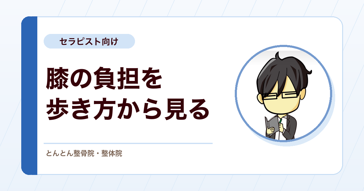 膝の内側への負担を歩き方から見る。KAM（膝関節内転モーメント）と運動療法